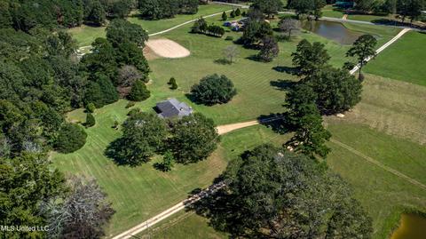 122 Wild Bird Ln, Brandon, MS 39042 photo 22
