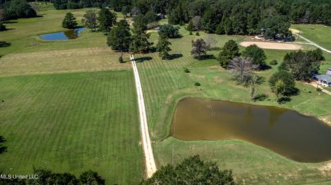 122 Wild Bird Ln, Brandon, MS 39042 photo 13