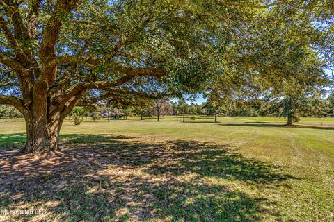 122 Wild Bird Ln, Brandon, MS 39042 photo 10