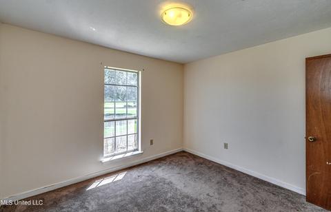 122 Wild Bird Ln, Brandon, MS 39042 photo 52