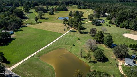 122 Wild Bird Ln, Brandon, MS 39042 photo 14