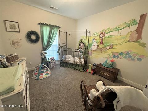 562 Wooten Cv, Nesbit, MS 38651 photo 20