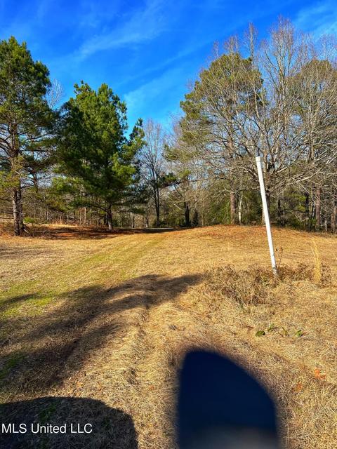 Kimbell Road, Terry, MS 39170 photo 16