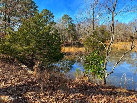 Kimbell Road, Terry, MS 39170 photo 3
