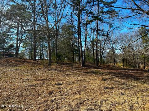Kimbell Road, Terry, MS 39170 photo 19
