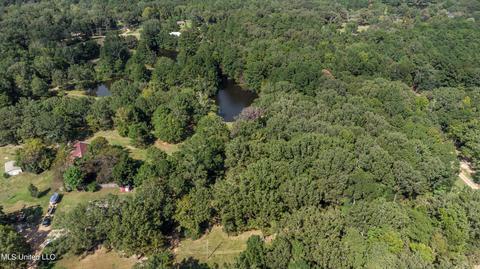 Kimbell Road, Terry, MS 39170 photo 27