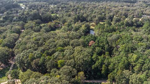 Kimbell Road, Terry, MS 39170 photo 46