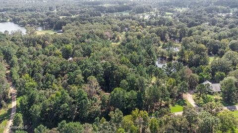 Kimbell Road, Terry, MS 39170 photo 40