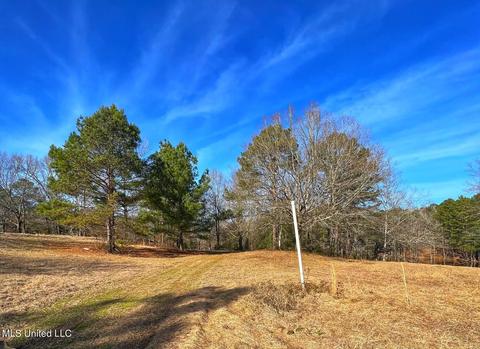 Kimbell Road, Terry, MS 39170 photo 9