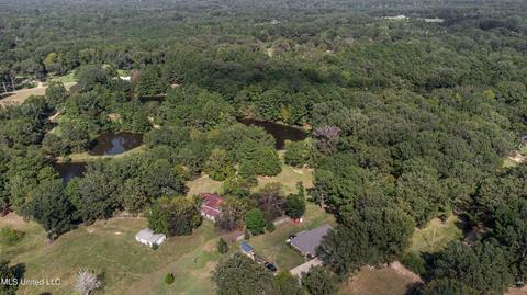 Kimbell Road, Terry, MS 39170 photo 28