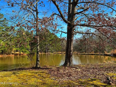 Kimbell Road, Terry, MS 39170 photo 2
