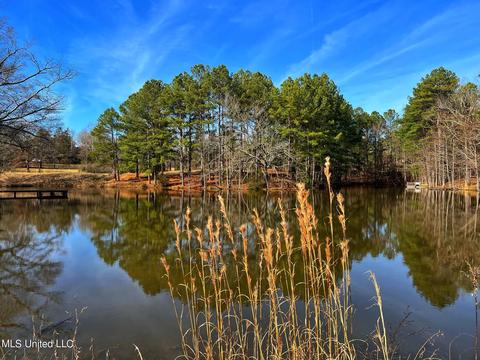 Kimbell Road, Terry, MS 39170 photo 5