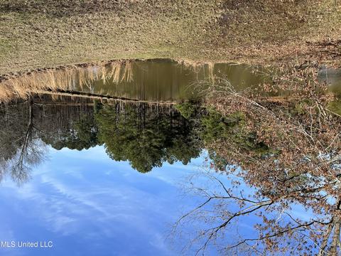 Kimbell Road, Terry, MS 39170 photo 14