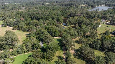 Kimbell Road, Terry, MS 39170 photo 33