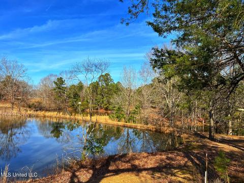 Kimbell Road, Terry, MS 39170 photo 12