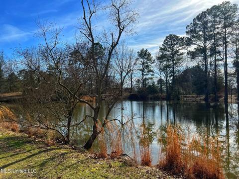 Kimbell Road, Terry, MS 39170