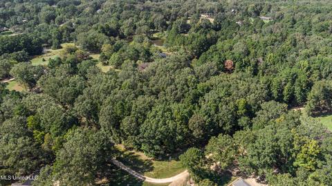 Kimbell Road, Terry, MS 39170 photo 24