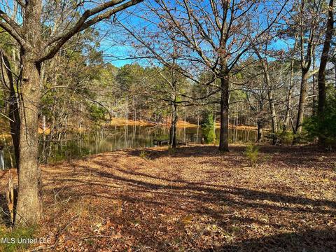 Kimbell Road, Terry, MS 39170 photo 7