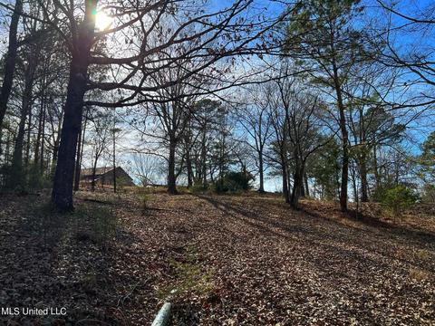 Kimbell Road, Terry, MS 39170 photo 22