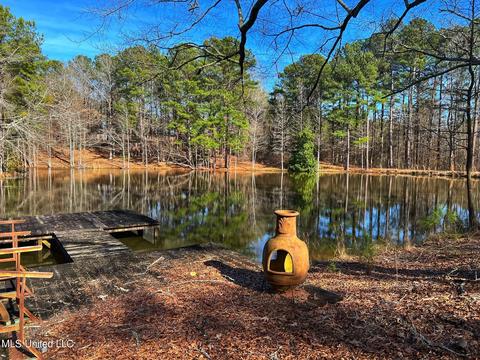 Kimbell Road, Terry, MS 39170 photo 10