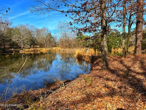 Kimbell Road, Terry, MS 39170 photo 17