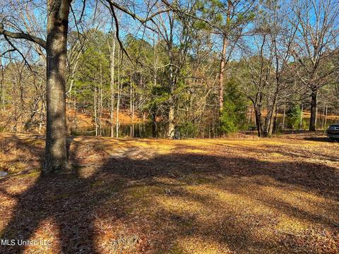 Kimbell Road, Terry, MS 39170 photo 13