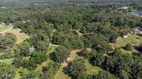 Kimbell Road, Terry, MS 39170 photo 32