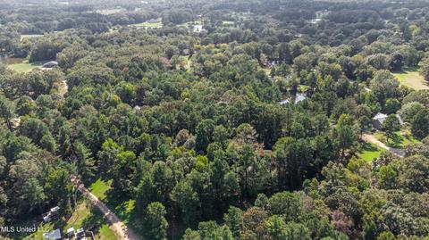 Kimbell Road, Terry, MS 39170 photo 42