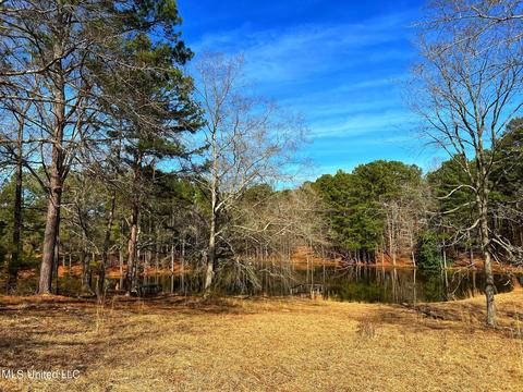 Kimbell Road, Terry, MS 39170 photo 11