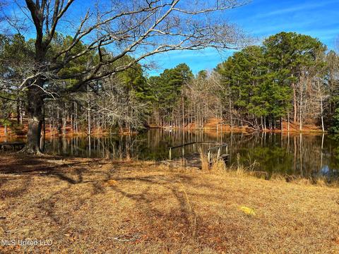 Kimbell Road, Terry, MS 39170 photo 6
