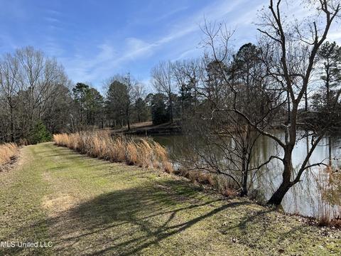 Kimbell Road, Terry, MS 39170 photo 4