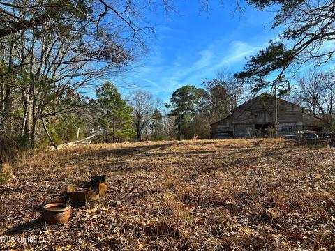 Kimbell Road, Terry, MS 39170 photo 21