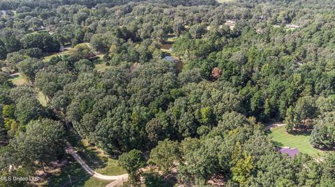 Kimbell Road, Terry, MS 39170 photo 49