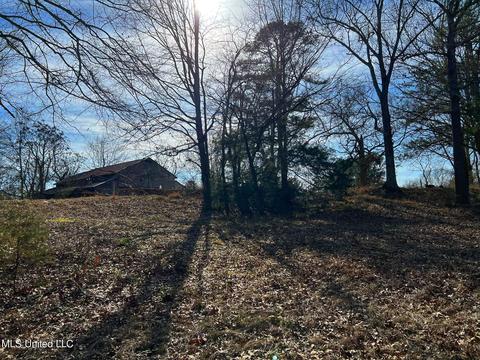Kimbell Road, Terry, MS 39170 photo 20