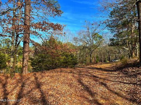 Kimbell Road, Terry, MS 39170 photo 18