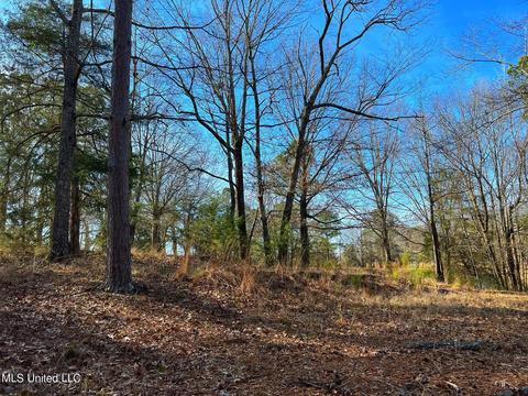 Kimbell Road, Terry, MS 39170 photo 15