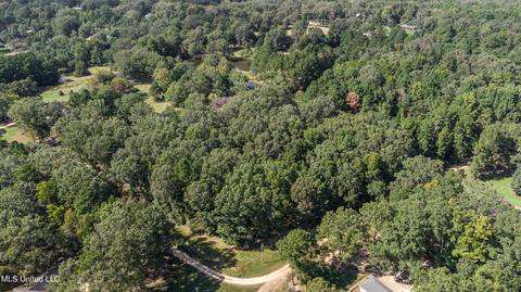 Kimbell Road, Terry, MS 39170 photo 26