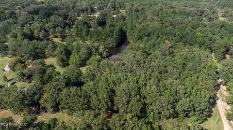 Kimbell Road, Terry, MS 39170 photo 25