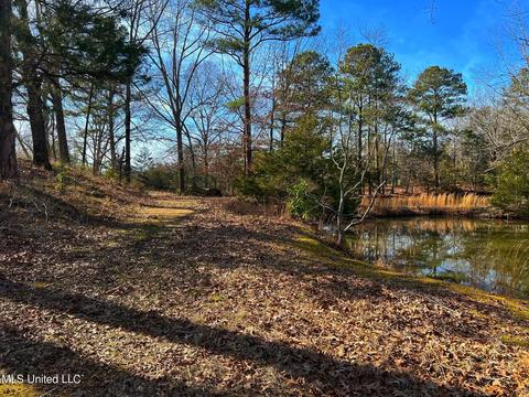 Kimbell Road, Terry, MS 39170 photo 8