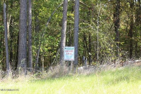 246 Pine Acres Cv, Byhalia, MS 38611
