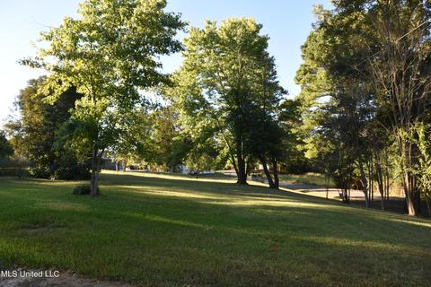 92 Post Office Rd, Coldwater, MS 38618 photo 4