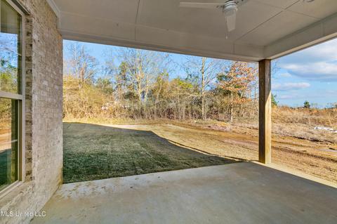 110 Harbor View Dr, Madison, MS 39110 photo 33