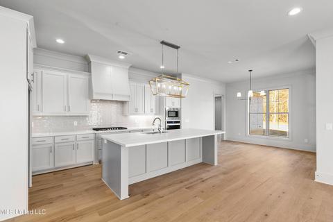 110 Harbor View Dr, Madison, MS 39110 photo 8