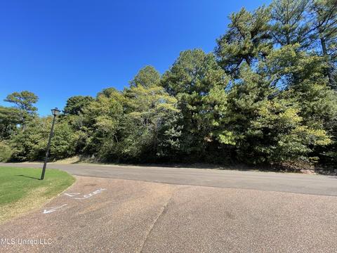 7760 College Rd, Olive Branch, MS 38654 photo 1
