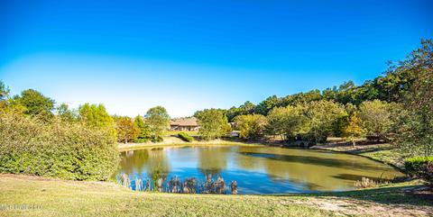 220 Greenfield Xing, Brandon, MS 39042 photo 18