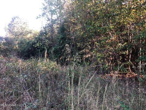 01 Strong Rd, Forest, MS 39074 photo 3