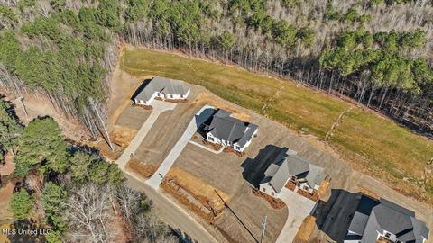 1652 Old Lake Rd, Brandon, MS 39042 photo 53