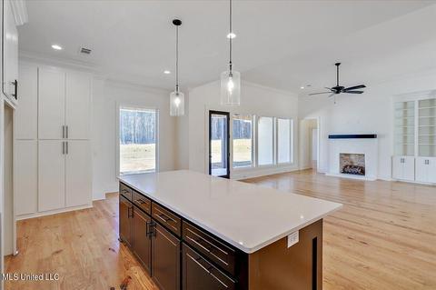 1652 Old Lake Rd, Brandon, MS 39042 photo 18
