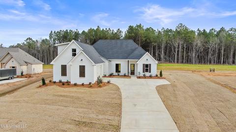 1642 Old Lake Rd, Brandon, MS 39042 photo 41
