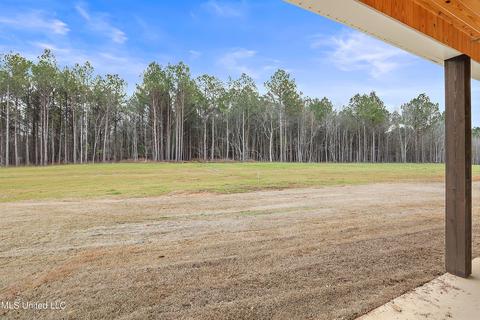 1642 Old Lake Rd, Brandon, MS 39042 photo 37